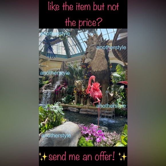 Meet your Posher, Ari - Picture 2 of 4